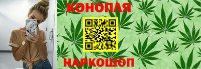 spice Кинель