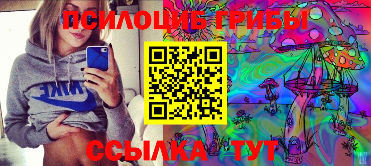 где можно купить наркотик  Псилоцибиновые грибы ЛСД  Вход с VPN  Снежинск 
